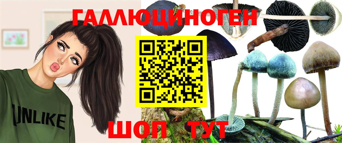 Псилоцибиновые грибы Cubensis Жигулёвск