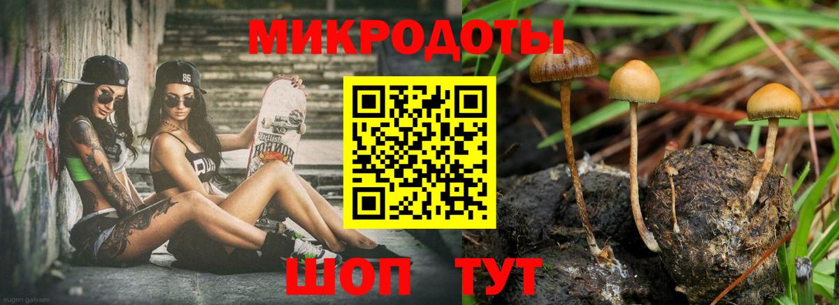 Жигулёвск  Псилоцибиновые грибы мицелий  Вход с VPN 